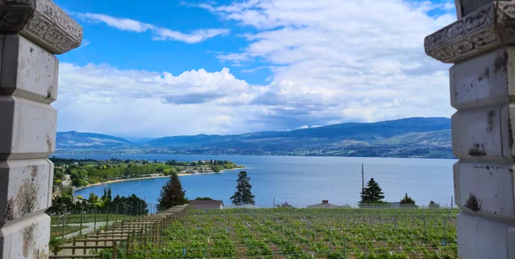 Guide To The Top 7 Wineries with the Best Scenic Views Around Kelowna 6 Kelowna Wine & Craft Beer Tours 5