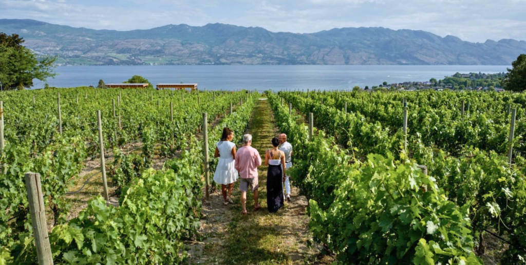 Guide To The Top 7 Wineries with the Best Scenic Views Around Kelowna 12 Kelowna Wine & Craft Beer Tours 11