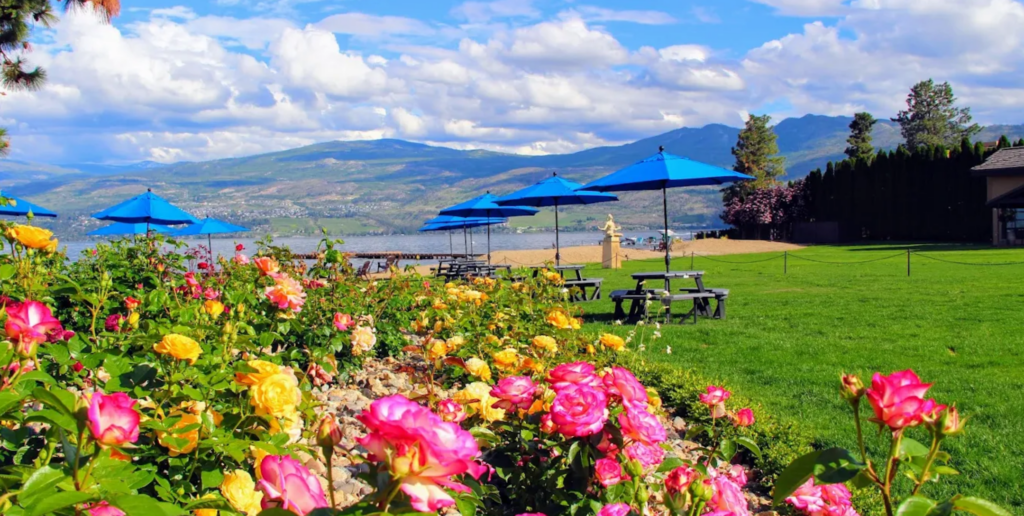 Guide To The Top 7 Wineries with the Best Scenic Views Around Kelowna 14 Kelowna Wine & Craft Beer Tours 13