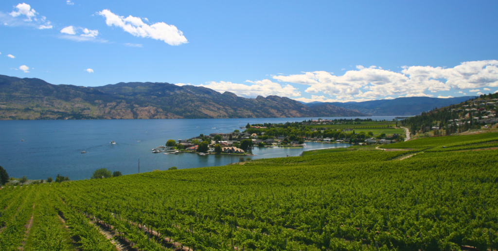 Guide To The Top 7 Wineries with the Best Scenic Views Around Kelowna 20 Kelowna Wine & Craft Beer Tours 19