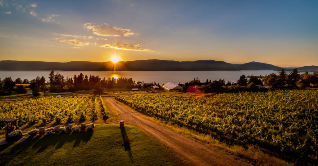 Guide To The Top 7 Wineries with the Best Scenic Views Around Kelowna 16 Kelowna Wine & Craft Beer Tours 15