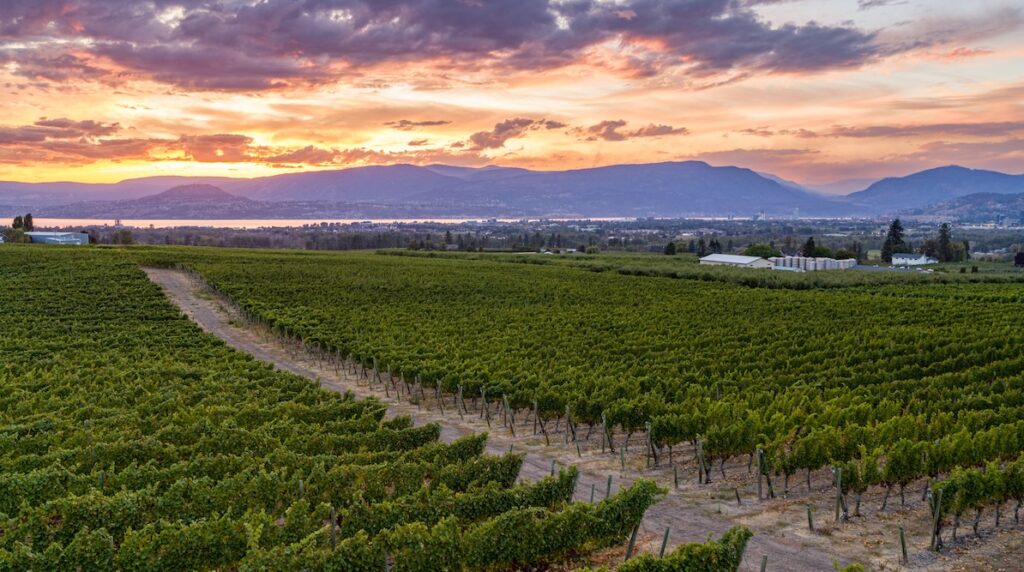 Kelowna Wine & Craft Beer Tours 2
