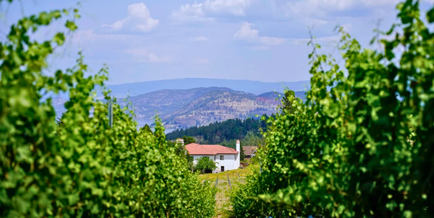 4 West Kelowna Wineries with the Best Views 2 Kelowna Wine & Craft Beer Tours 1