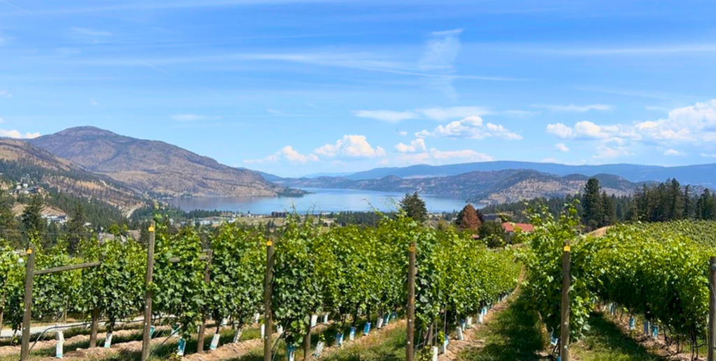 4 West Kelowna Wineries with the Best Views 5 West Kelowna Wineries with the Best Views