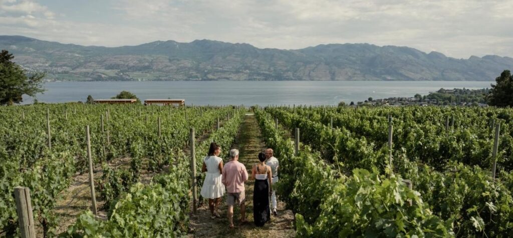 4 West Kelowna Wineries with the Best Views 4 Kelowna Wine & Craft Beer Tours 3