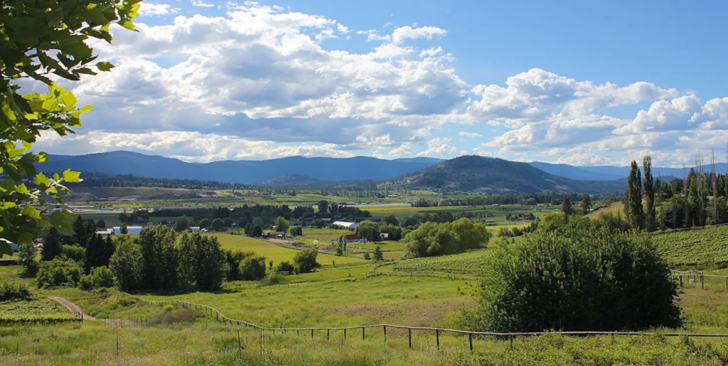 The Top 4 Boutique Wineries to Visit in Kelowna, B.C. 11 Kelowna Wine & Craft Beer Tours 10