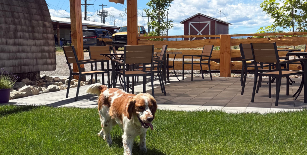 The Top 4 Boutique Wineries to Visit in Kelowna, B.C. 19 Kelowna Wine & Craft Beer Tours 18
