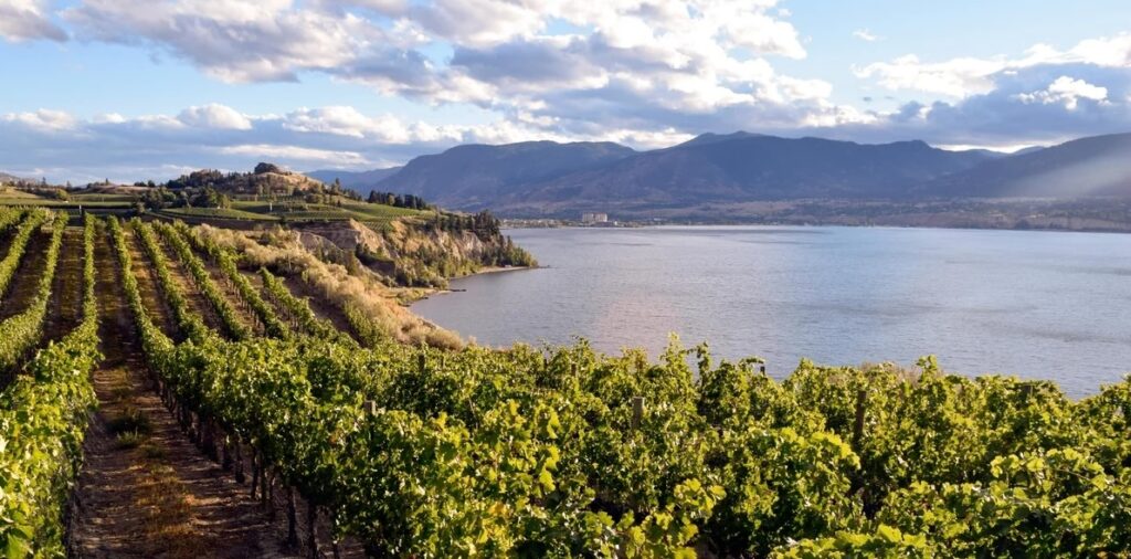 The Top 4 Boutique Wineries to Visit in Kelowna, B.C. 4 Kelowna Wine & Craft Beer Tours 3