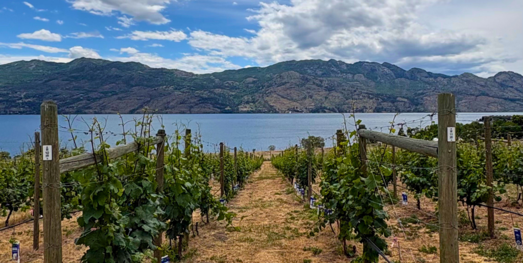 4 West Kelowna Wineries with the Best Views 11 Kelowna Wine & Craft Beer Tours 10