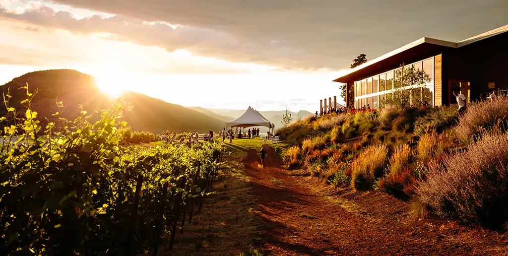 Kelowna Wine & Craft Beer Tours 5