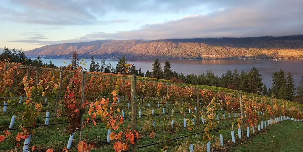 Kelowna Wine & Craft Beer Tours 3