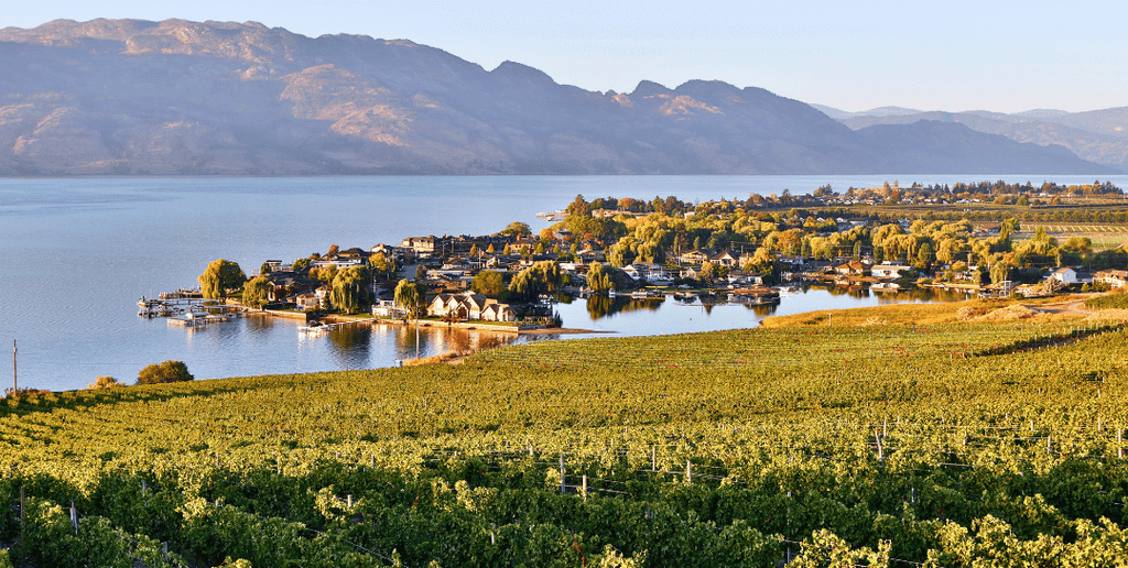 Planning a Corporate or Large Group Wine Tour in Kelowna? Here’s Everything You Need to Know 10 Kelowna Wine & Craft Beer Tours 9